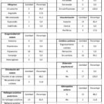 Grafico08_16