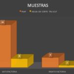 Imagen11