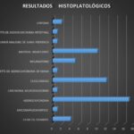 Imagen14