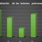 Imagen8