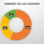 Imagen9