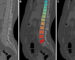 images_rg.260009.fig3